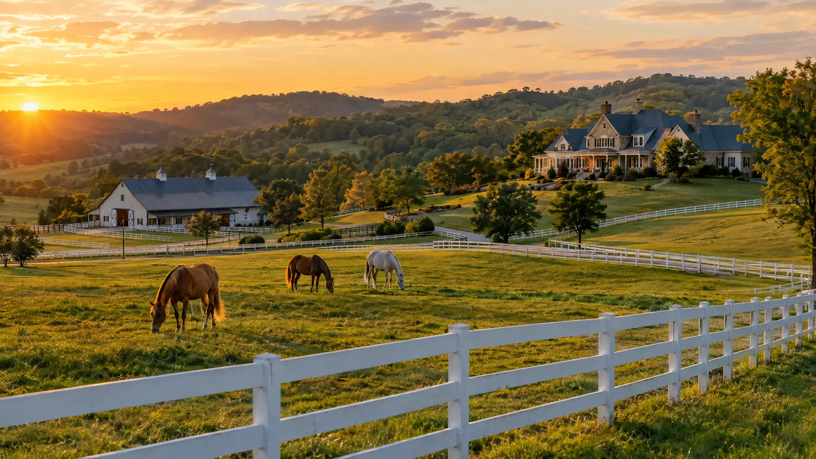 A neighborhood scene from Apison, TN